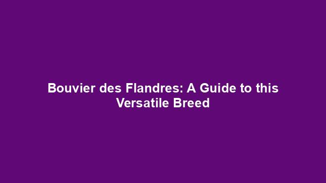 Bouvier des Flandres: A Guide to this Versatile Breed