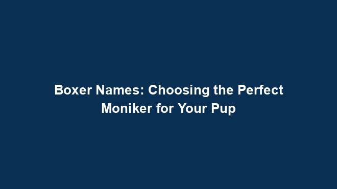 Boxer Names: Choosing the Perfect Moniker for Your Pup