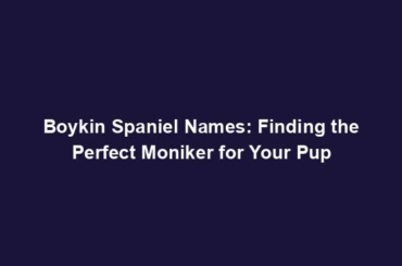 Boykin Spaniel Names: Finding the Perfect Moniker for Your Pup