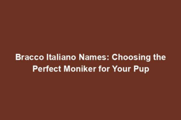 Bracco Italiano Names: Choosing the Perfect Moniker for Your Pup