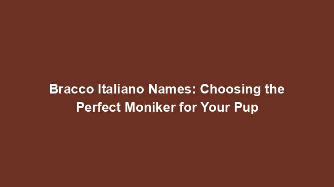 Bracco Italiano Names: Choosing the Perfect Moniker for Your Pup