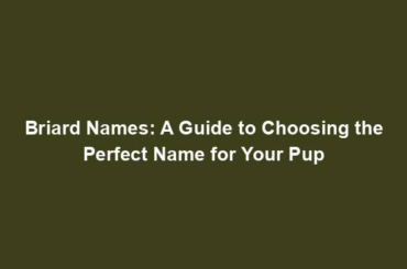 Briard Names: A Guide to Choosing the Perfect Name for Your Pup