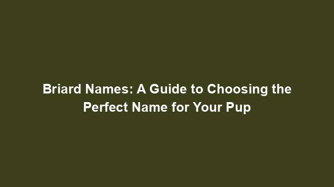 Briard Names: A Guide to Choosing the Perfect Name for Your Pup