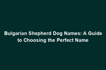 Bulgarian Shepherd Dog Names: A Guide to Choosing the Perfect Name