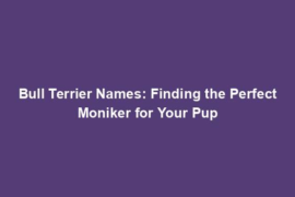Bull Terrier Names: Finding the Perfect Moniker for Your Pup