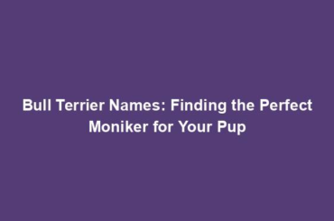 Bull Terrier Names: Finding the Perfect Moniker for Your Pup