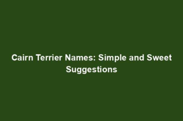 Cairn Terrier Names: Simple and Sweet Suggestions