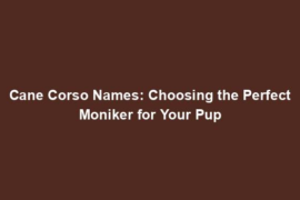 Cane Corso Names: Choosing the Perfect Moniker for Your Pup