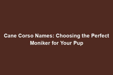 Cane Corso Names: Choosing the Perfect Moniker for Your Pup