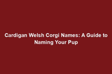 Cardigan Welsh Corgi Names: A Guide to Naming Your Pup