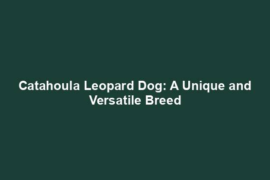 Catahoula Leopard Dog: A Unique and Versatile Breed