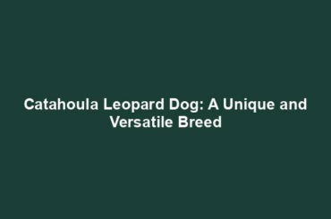 Catahoula Leopard Dog: A Unique and Versatile Breed