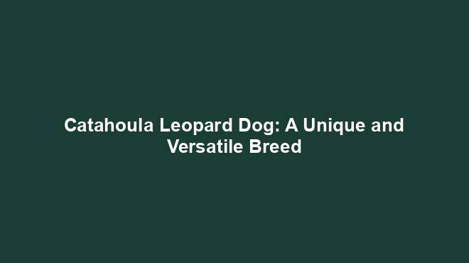 Catahoula Leopard Dog: A Unique and Versatile Breed
