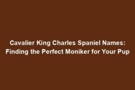 Cavalier King Charles Spaniel Names: Finding the Perfect Moniker for Your Pup