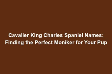 Cavalier King Charles Spaniel Names: Finding the Perfect Moniker for Your Pup