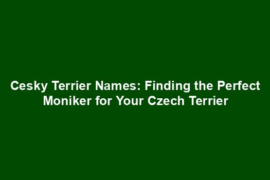 Cesky Terrier Names: Finding the Perfect Moniker for Your Czech Terrier