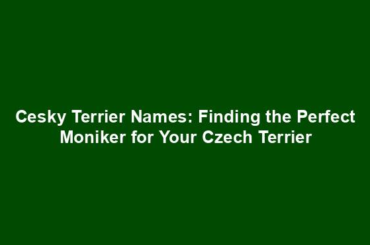 Cesky Terrier Names: Finding the Perfect Moniker for Your Czech Terrier