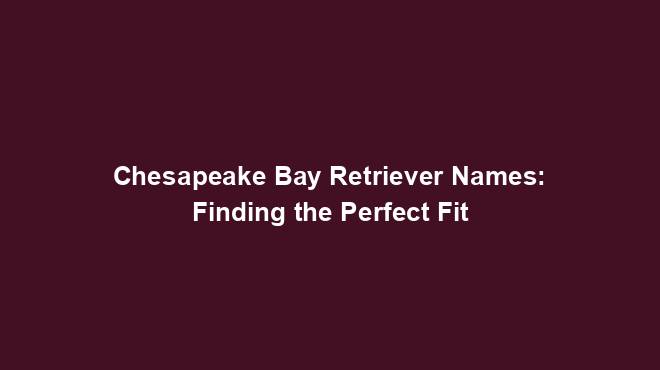 Chesapeake Bay Retriever Names: Finding the Perfect Fit