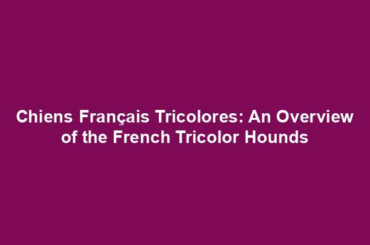 Chiens Français Tricolores: An Overview of the French Tricolor Hounds