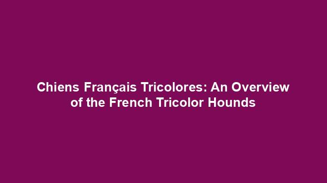 Chiens Français Tricolores: An Overview of the French Tricolor Hounds