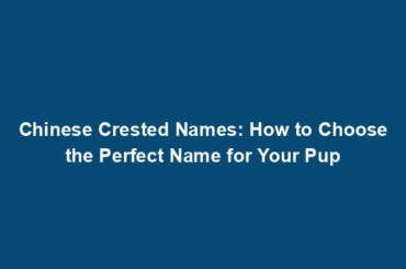 Chinese Crested Names: How to Choose the Perfect Name for Your Pup