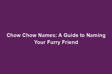 Chow Chow Names: A Guide to Naming Your Furry Friend