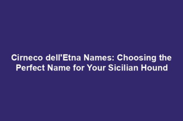 Cirneco dell'Etna Names: Choosing the Perfect Name for Your Sicilian Hound