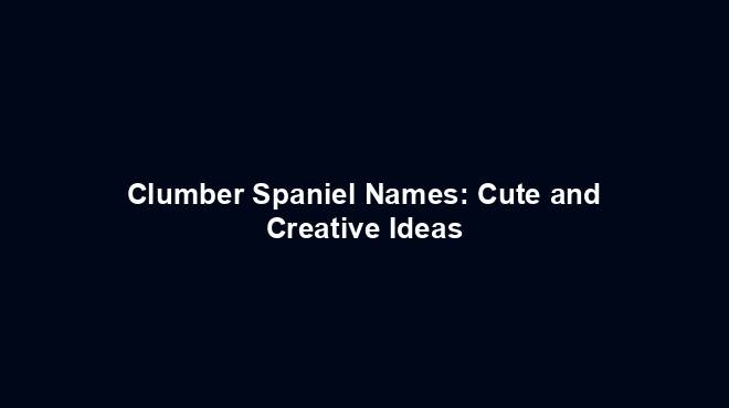 Clumber Spaniel Names: Cute and Creative Ideas