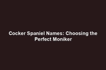 Cocker Spaniel Names: Choosing the Perfect Moniker