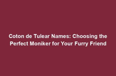 Coton de Tulear Names: Choosing the Perfect Moniker for Your Furry Friend