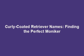 Curly-Coated Retriever Names: Finding the Perfect Moniker