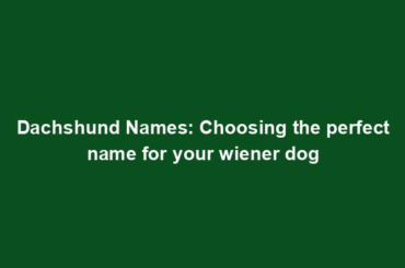 Dachshund Names: Choosing the perfect name for your wiener dog