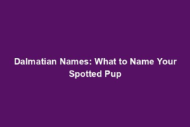 Dalmatian Names: What to Name Your Spotted Pup