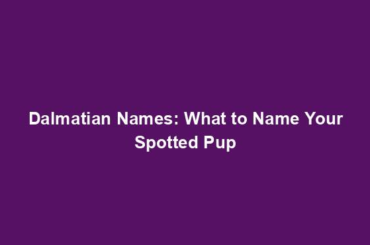 Dalmatian Names: What to Name Your Spotted Pup