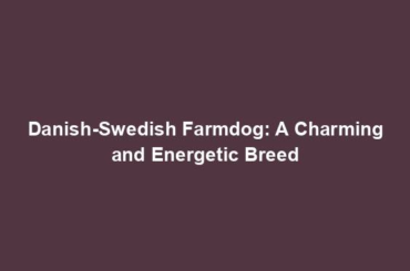 Danish-Swedish Farmdog: A Charming and Energetic Breed