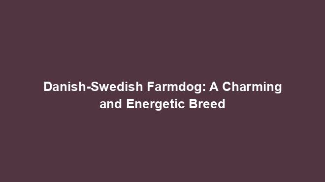 Danish-Swedish Farmdog: A Charming and Energetic Breed