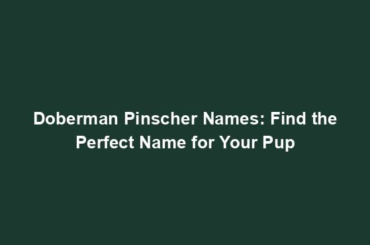 Doberman Pinscher Names: Find the Perfect Name for Your Pup