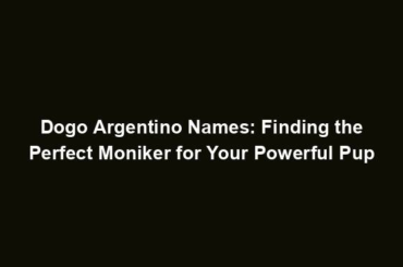 Dogo Argentino Names: Finding the Perfect Moniker for Your Powerful Pup