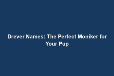 Drever Names: The Perfect Moniker for Your Pup