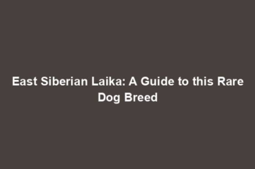 East Siberian Laika: A Guide to this Rare Dog Breed