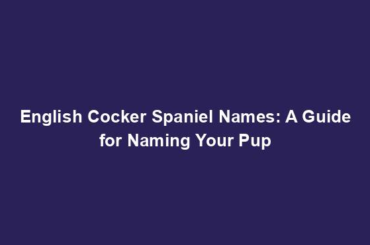 English Cocker Spaniel Names: A Guide for Naming Your Pup