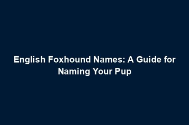 English Foxhound Names: A Guide for Naming Your Pup