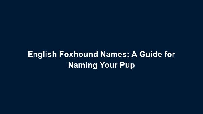 English Foxhound Names: A Guide for Naming Your Pup