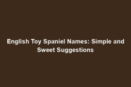 English Toy Spaniel Names: Simple and Sweet Suggestions