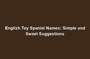 English Toy Spaniel Names: Simple and Sweet Suggestions