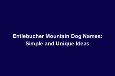 Entlebucher Mountain Dog Names: Simple and Unique Ideas