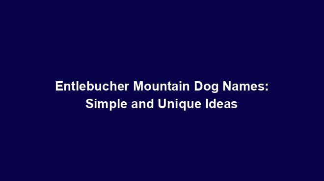 Entlebucher Mountain Dog Names: Simple and Unique Ideas