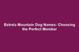Estrela Mountain Dog Names: Choosing the Perfect Moniker