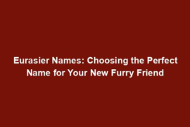 Eurasier Names: Choosing the Perfect Name for Your New Furry Friend