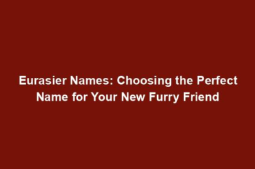 Eurasier Names: Choosing the Perfect Name for Your New Furry Friend